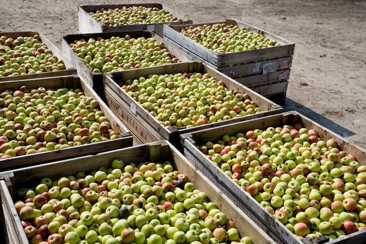 What defines Craft British Cider and why it tastes better