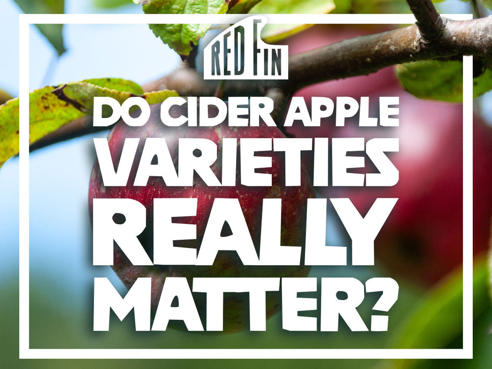 DO CIDER APPLE VARIETIES REALLY MATTER?